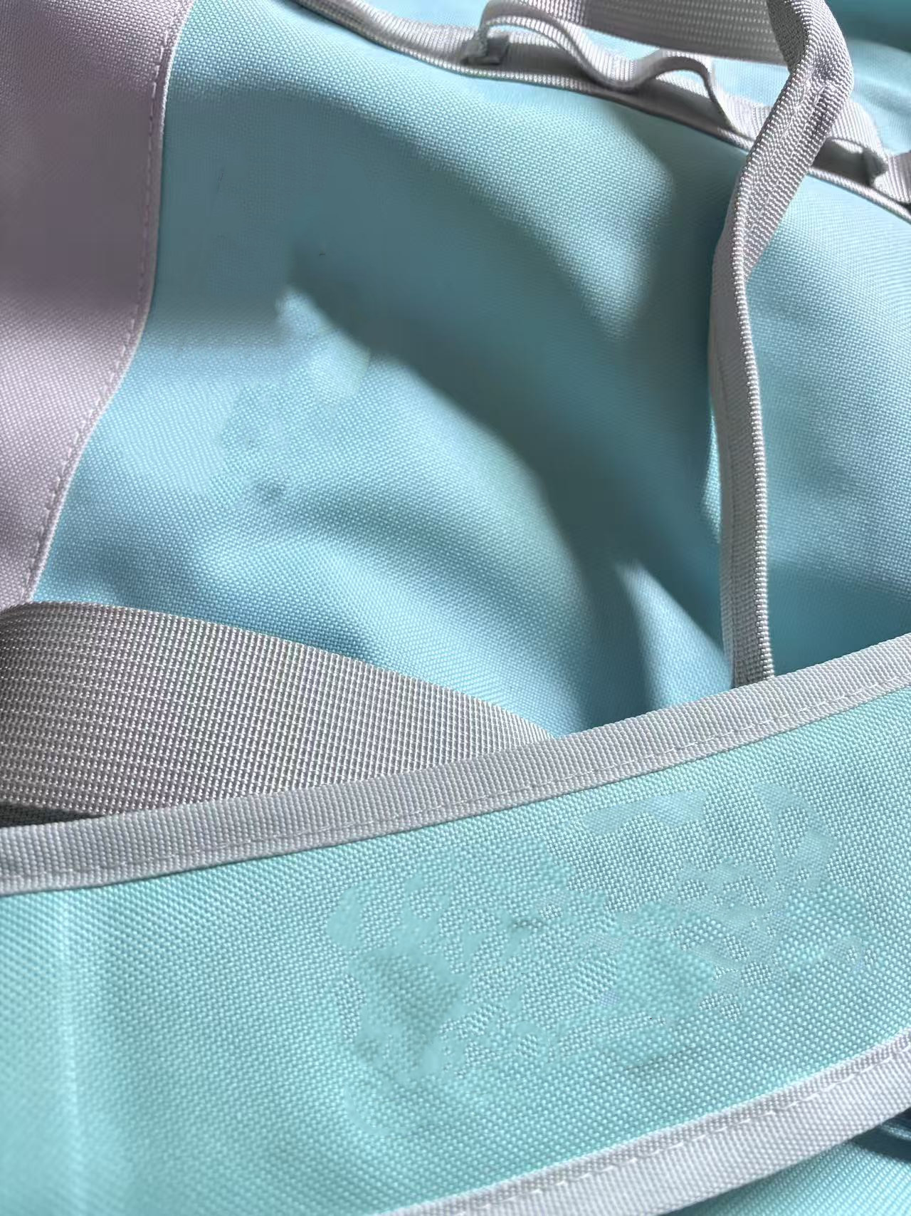 Close-up of Oxford fabric and carry strap on insulated tote