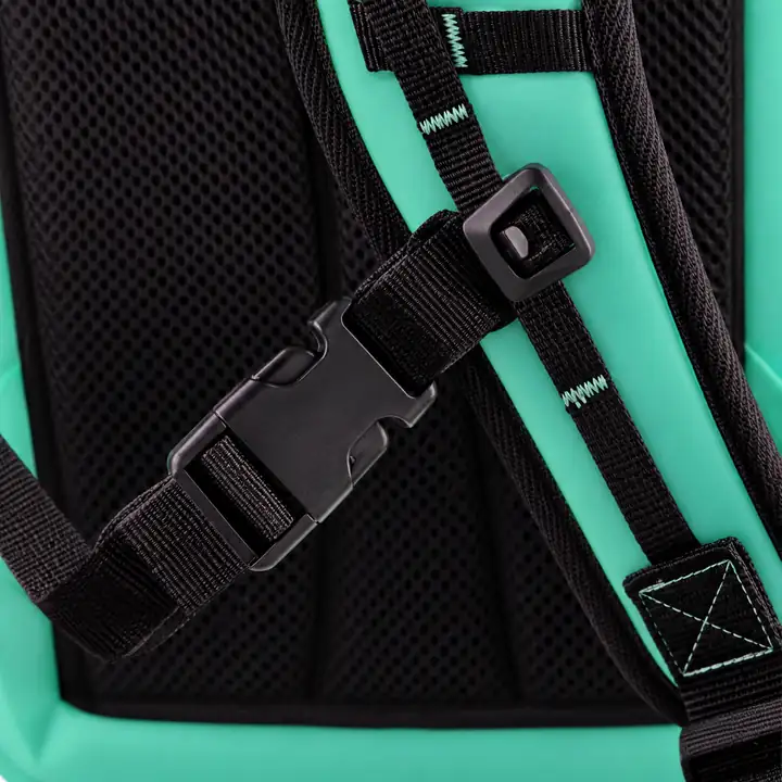 Adjustable retaining strap buckle and padded carry panel on the mint 30L backpack